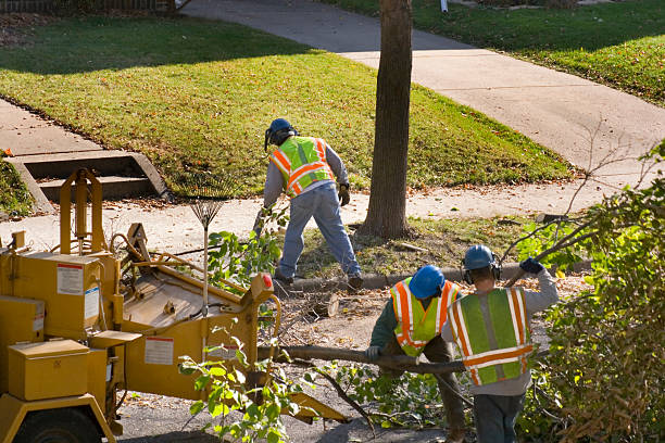 Best Lawn Mowing  in Barrington Hls, IL