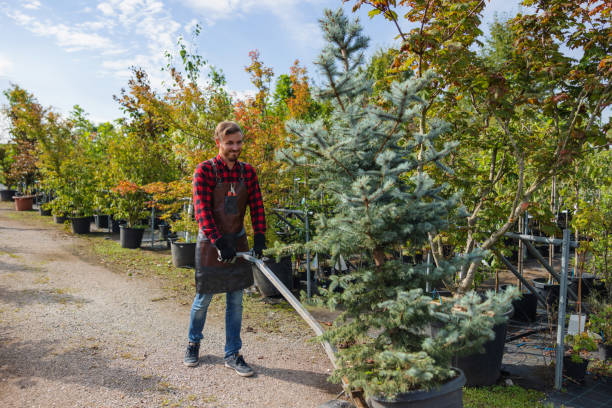 Best Fruit Tree Pruning  in Barrington Hls, IL